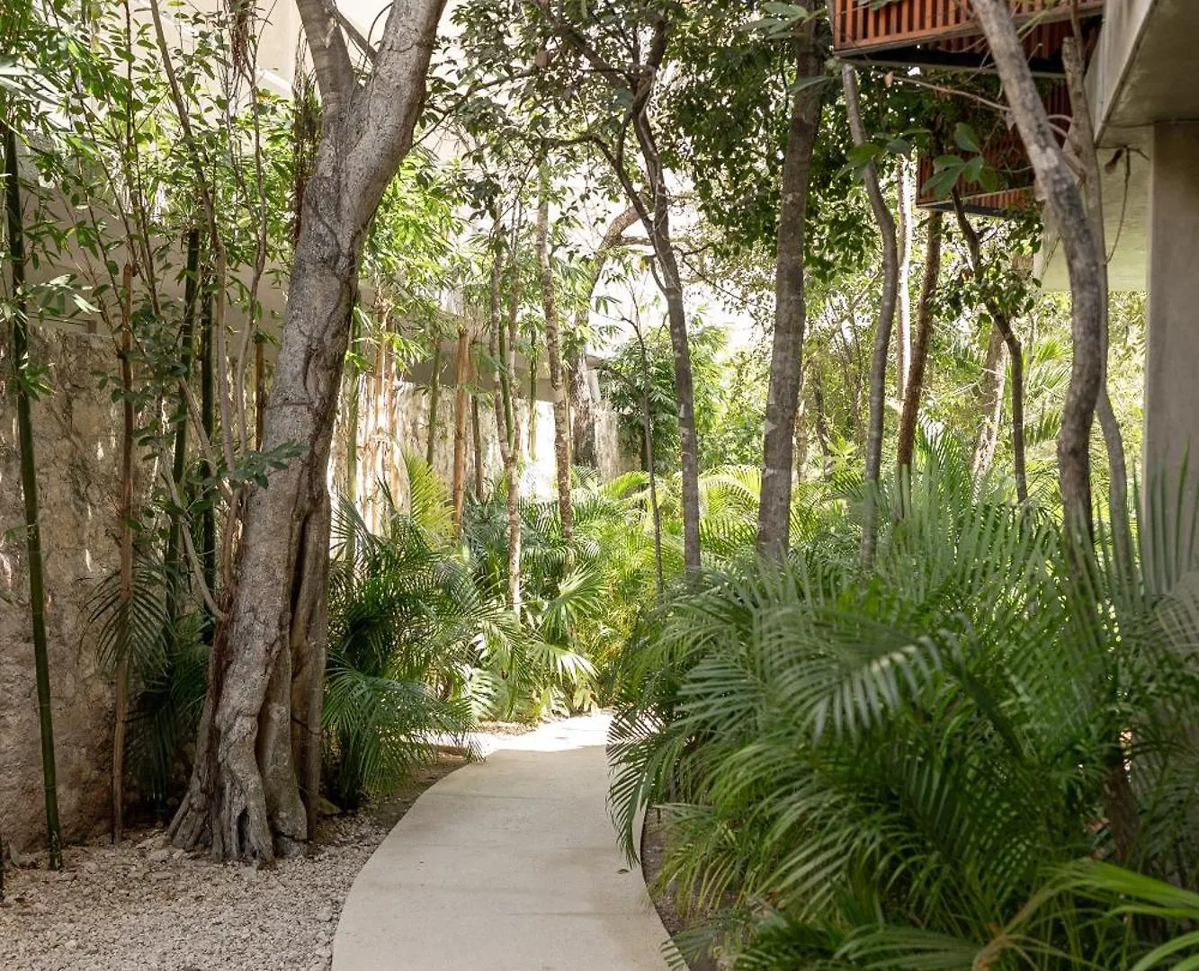 Seremonia Studios By Vida De Playa Rentals Tulum