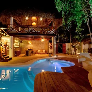 Mimosa Tulum