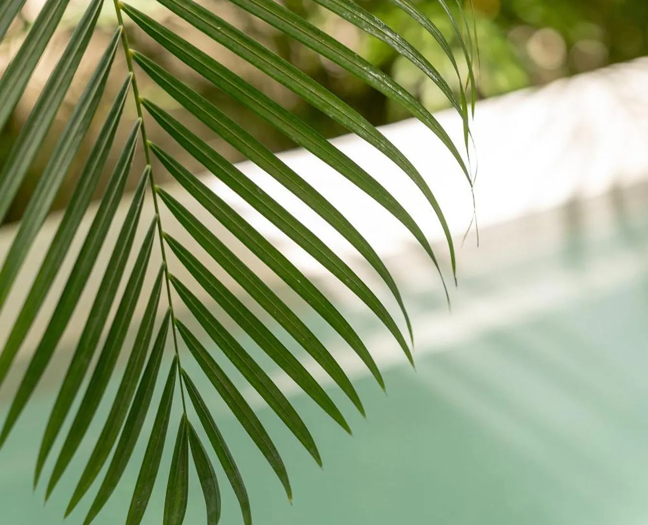 Seremonia Studios By Vida De Playa Rentals Tulum Pueblo Appartement